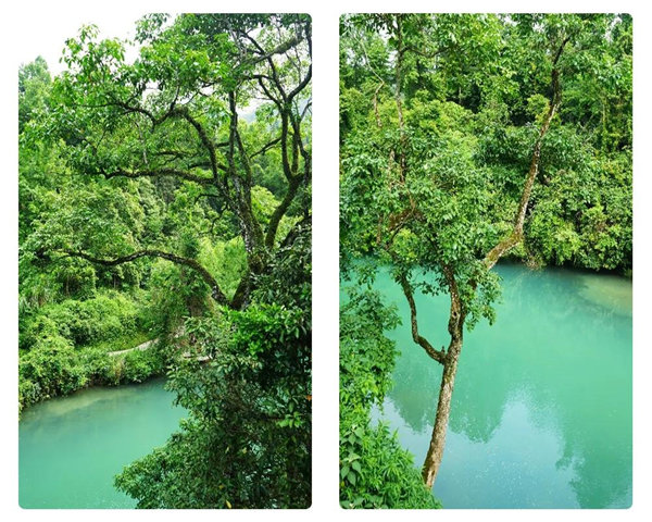 多彩貴州，魅力天下，2021年廣東博皓快樂貴州行-29