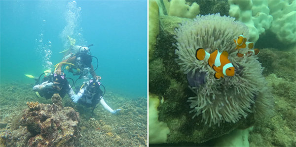 暢游碧海藍天，共筑團隊夢想—博皓沙巴風情之旅        -4